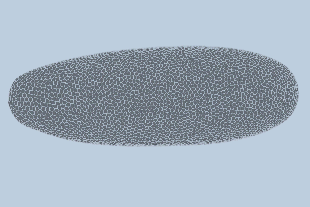 Deep-learning model predicts how fruit flies form, cell by cell | MIT News Deep-learning model predicts how fruit flies form, cell by cell | MIT News