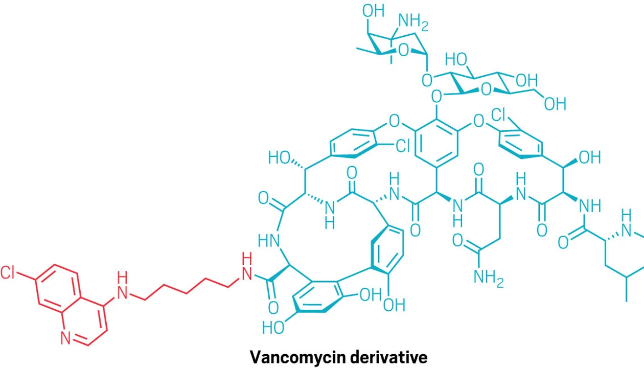 Quinoline tag helps vancomycin breach gram-negative defenses