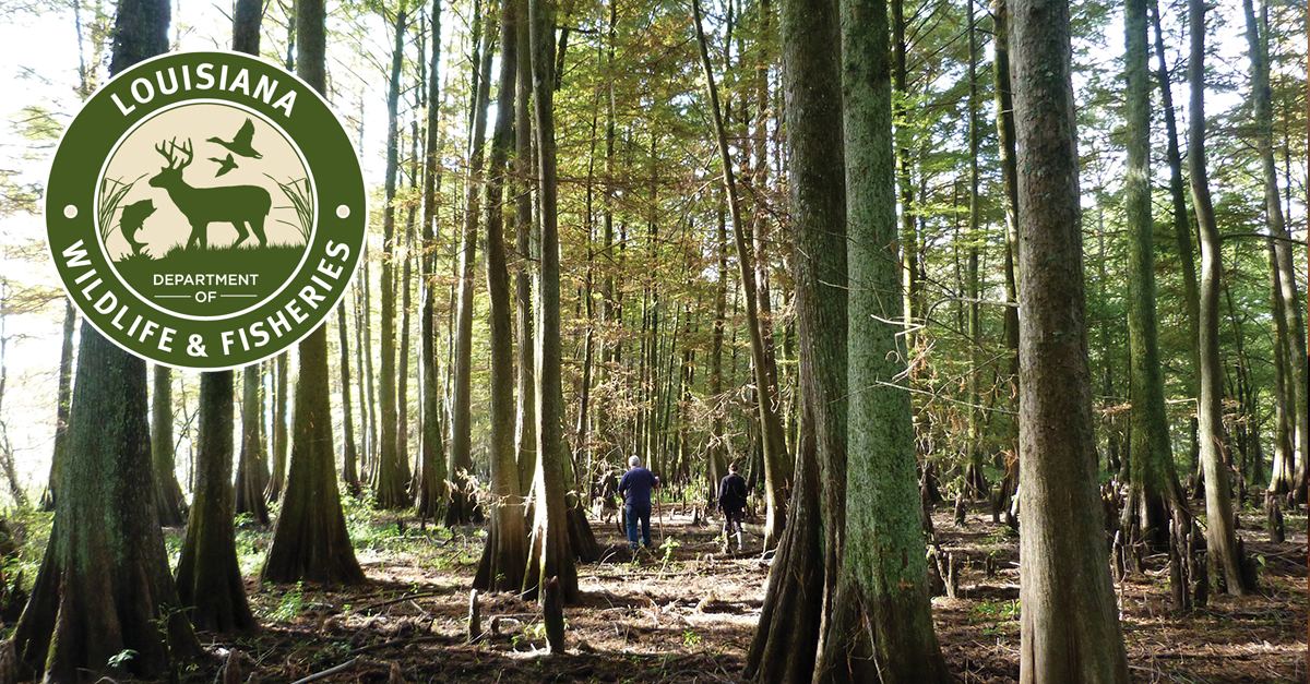 Orion Safety Products Announces Recall of Select Flare Models Orion Safety Products Announces Recall of Select Flare Models