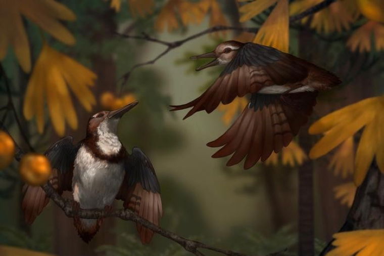 “I Immediately Knew It Was a New Species”: Scientists Discover a New Ancient Winged Reptile, and Reveal its Gruesome Fate “I Immediately Knew It Was a New Species”: Scientists Discover a New Ancient Winged Reptile, and Reveal its Gruesome Fate