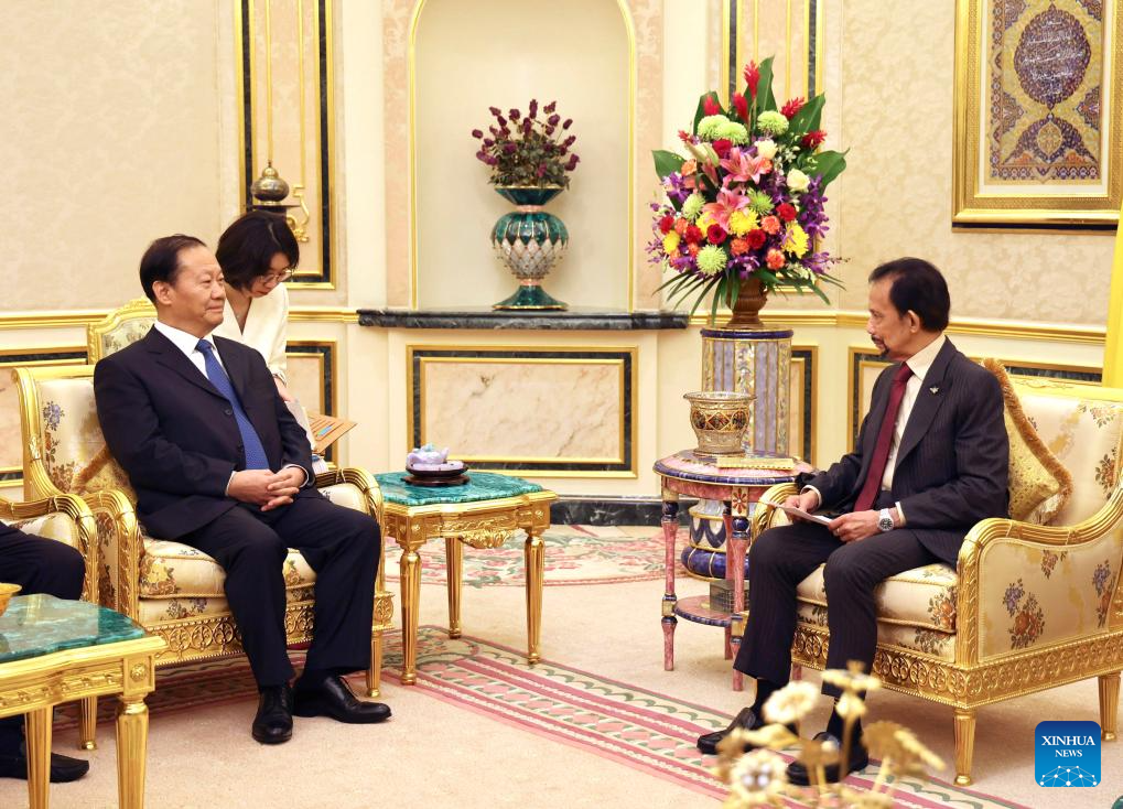 China, Brunei pledge to promote building of community with shared future-Xinhua China, Brunei pledge to promote building of community with shared future-Xinhua