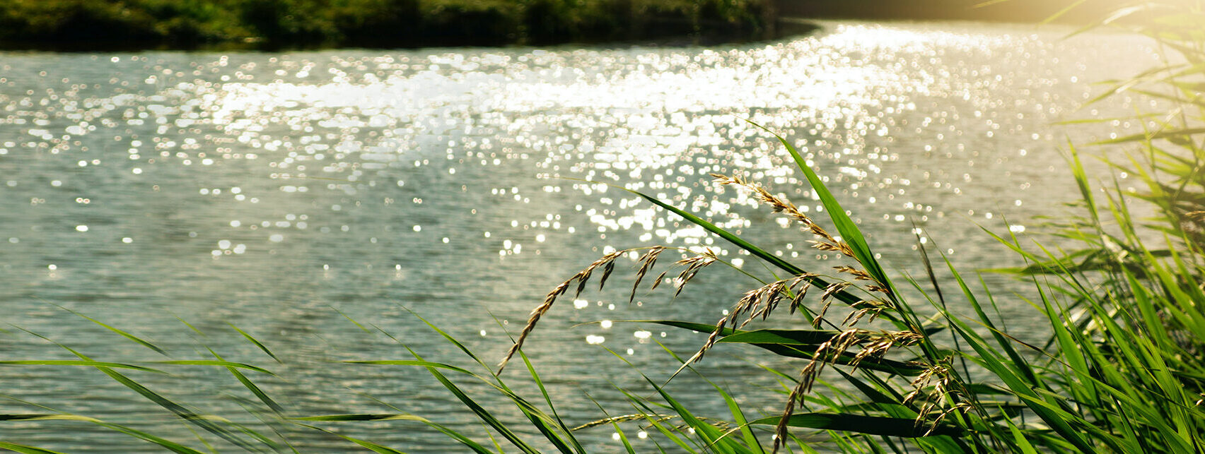 Holiday Financial Support | Floods & Extreme Weather Event | Canadian Red Cross Holiday Financial Support | Floods & Extreme Weather Event | Canadian Red Cross