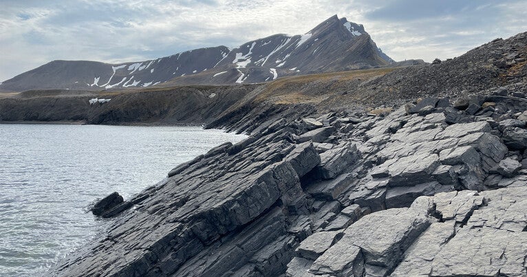 Brain circuits, bioturbation, and a new physics doc Brain circuits, bioturbation, and a new physics doc