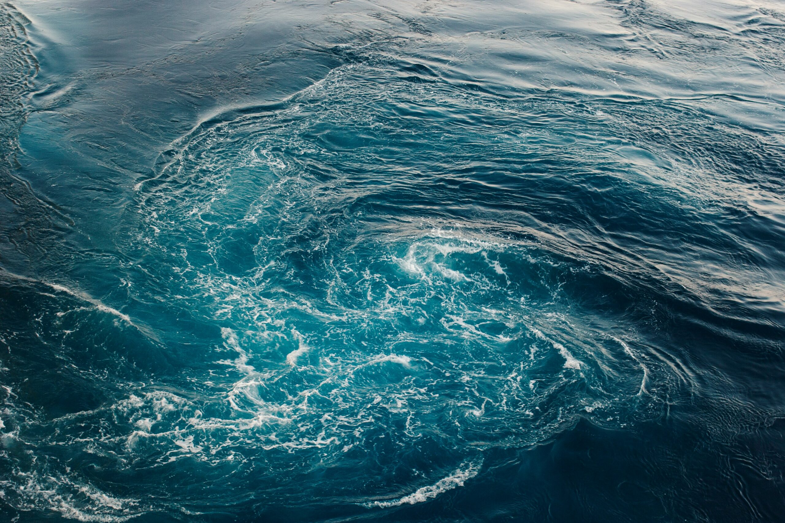 Ocean whirlpools reveal their power over North Atlantic food web