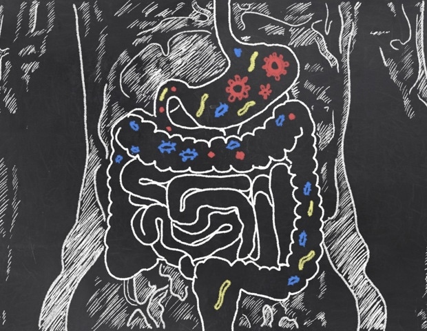 International collaboration develops STREAMS to standardize microbiome data