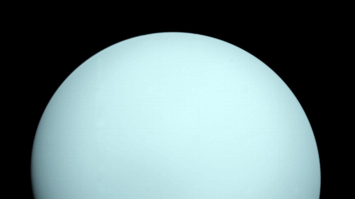 Voyager 2 May Have Caught Uranus At a Bad Time, Solving a 40-Year Mystery : ScienceAlert Voyager 2 May Have Caught Uranus At a Bad Time, Solving a 40-Year Mystery : ScienceAlert