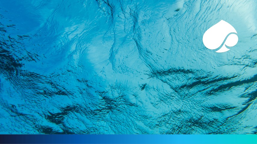 Capgemini named a Leader in 2025 Gartner® Magic Quadrant™ for Custom Software Development Services Capgemini named a Leader in 2025 Gartner® Magic Quadrant™ for Custom Software Development Services