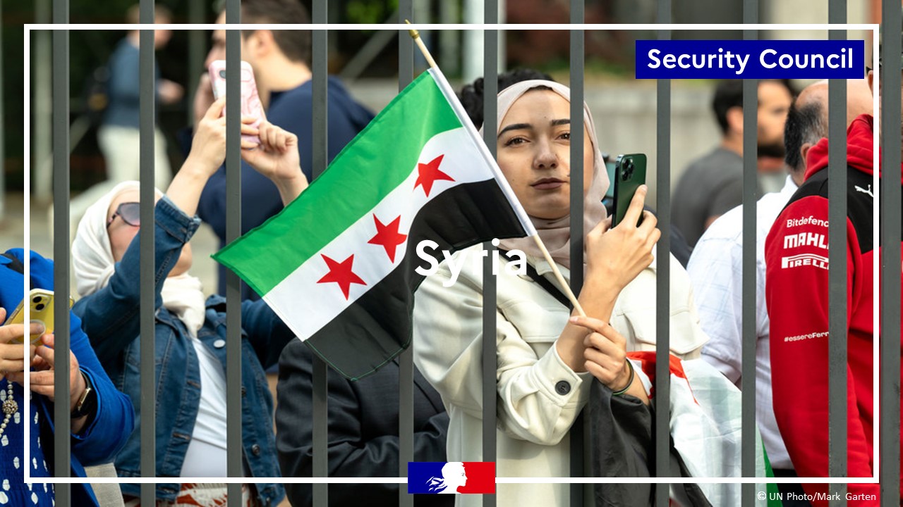 This Council must stand alongside the Syrian authorities