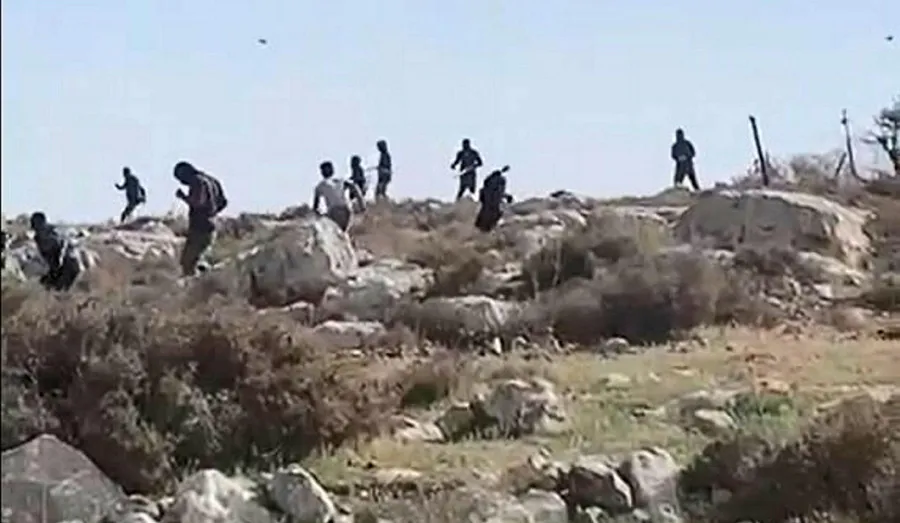 Israeli Settlers Steal & Slaughter Palestinian’s Donkey
