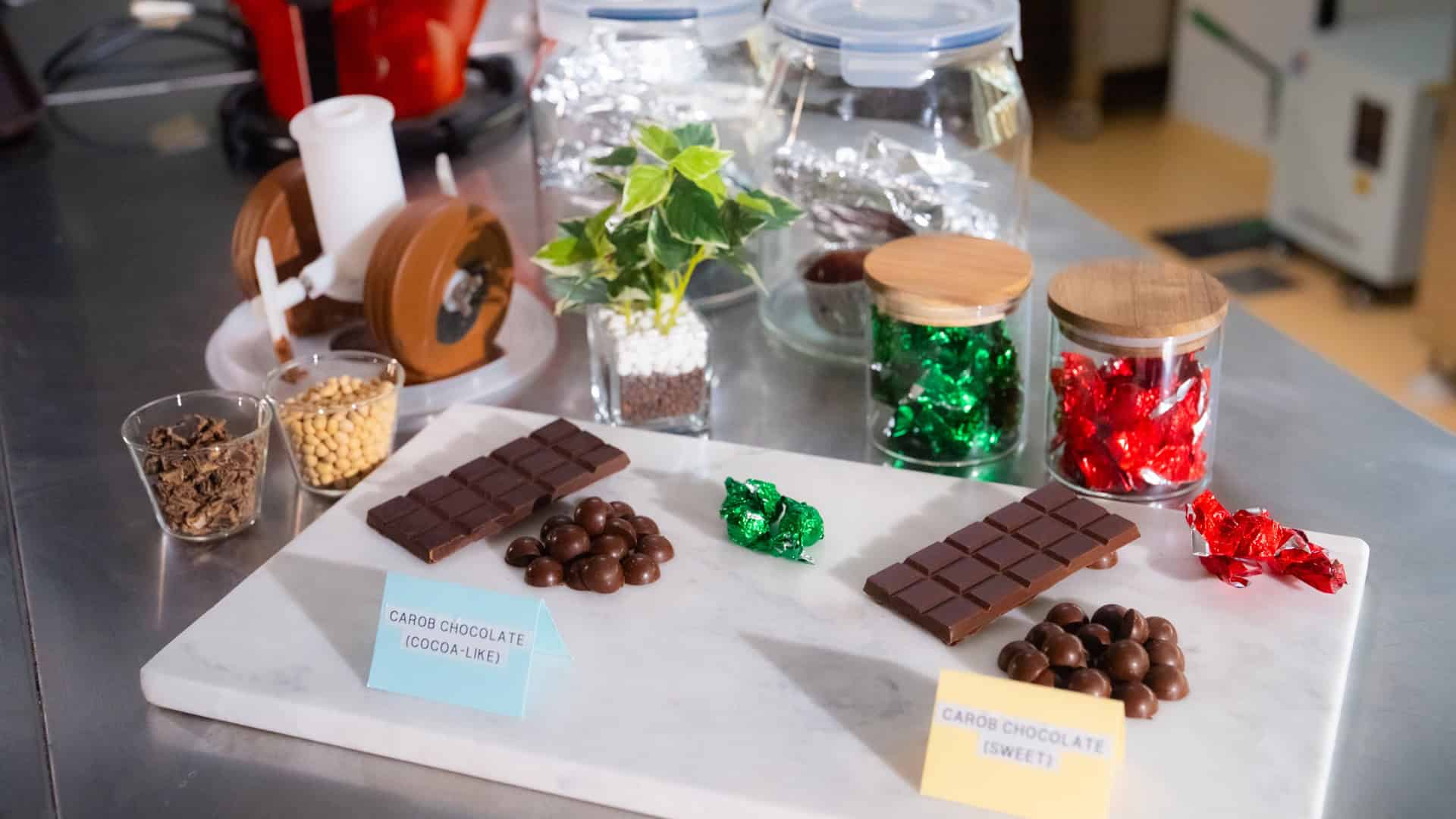 As the Chocolate Crisis Drives Prices Up and Recipes Down, a New Method Turns Carob Tree Pulp into an Ingredient That Tastes Like Cocoa