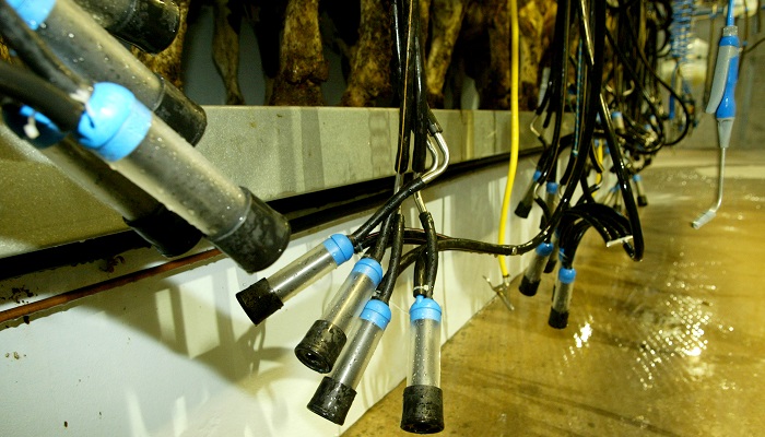 Challenging dairy year ahead – Teagasc