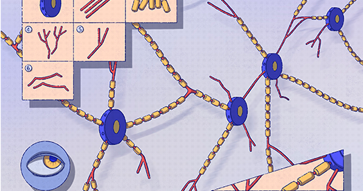 Not playing around: Why neuroscience needs toy models