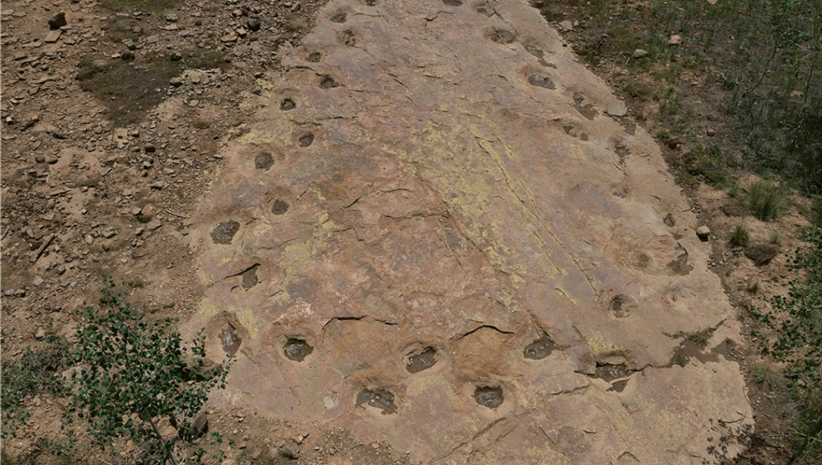 Curious 150 Million-Year-Old Looping Dinosaur Trackway In US Was Made By Limping Sauropod Curious 150 Million-Year-Old Looping Dinosaur Trackway In US Was Made By Limping Sauropod