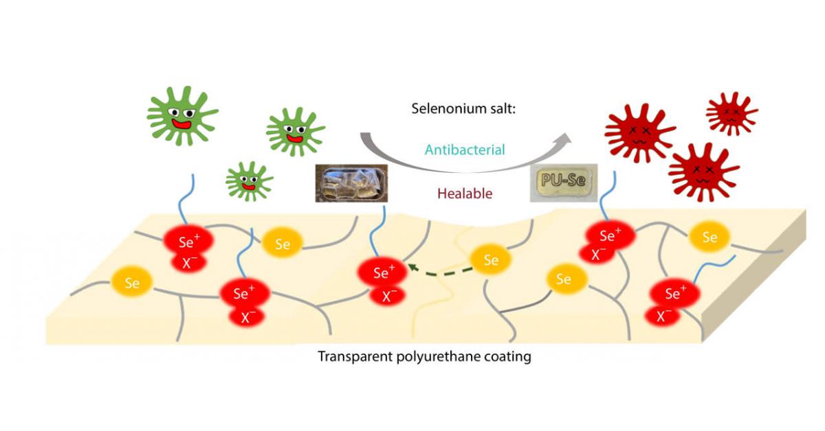 Self-healing transparent coating fights bacteria and repairs itself within minutes Self-healing transparent coating fights bacteria and repairs itself within minutes