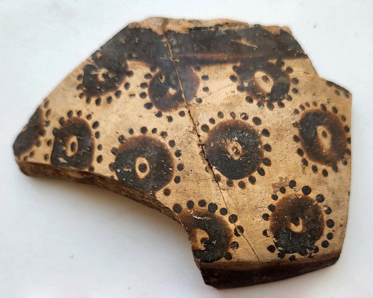 8,000-year-old botanical art reveals the world’s earliest mathematical thinking