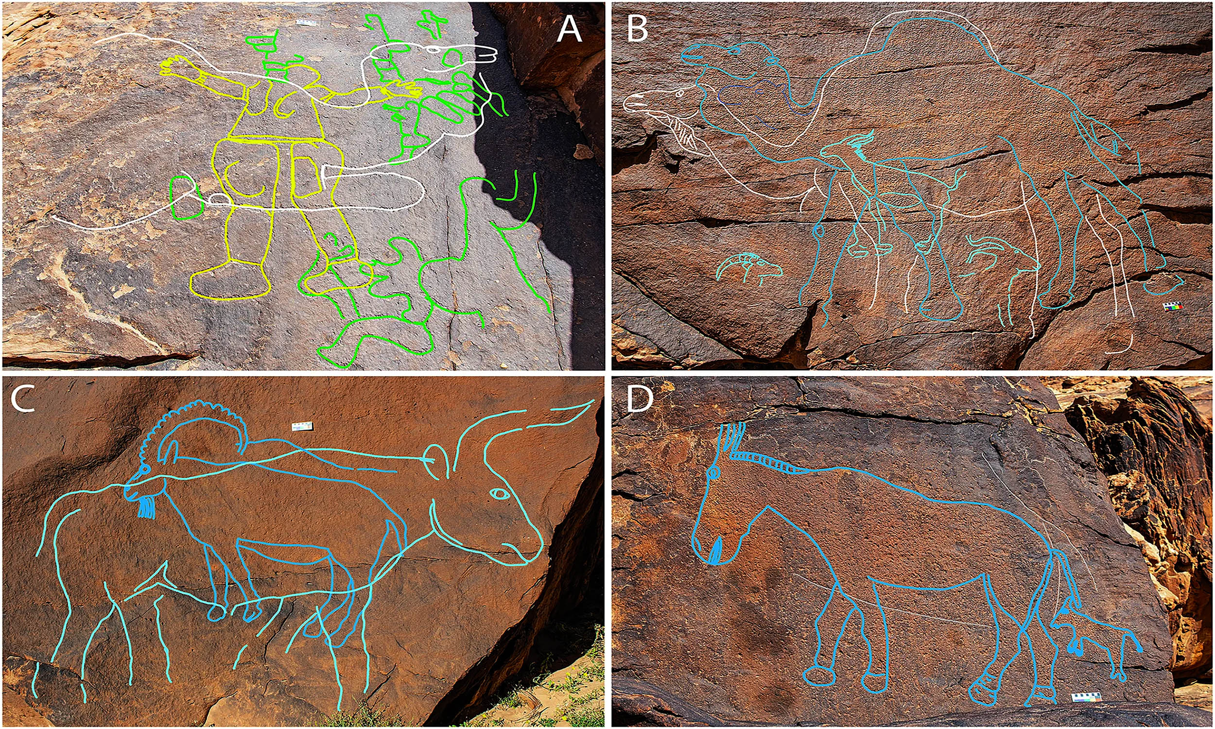 Oldest rock art served as maps for finding Arabian desert water