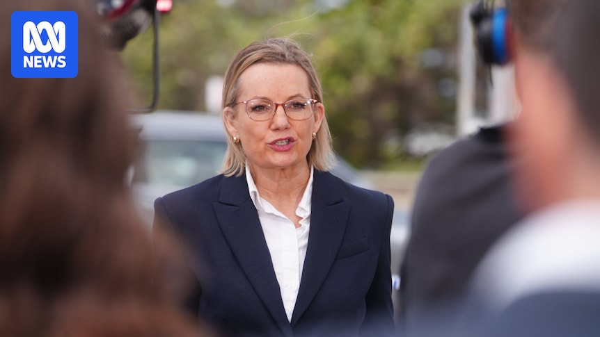 Coalition launches antisemitism taskforce after Bondi terror attack