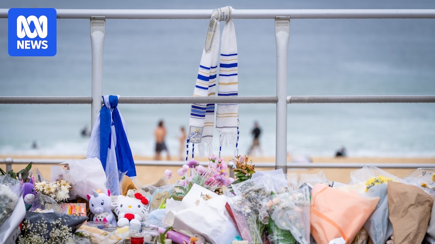 Bondi terror attack heroes to be recognised in new honours list Bondi terror attack heroes to be recognised in new honours list
