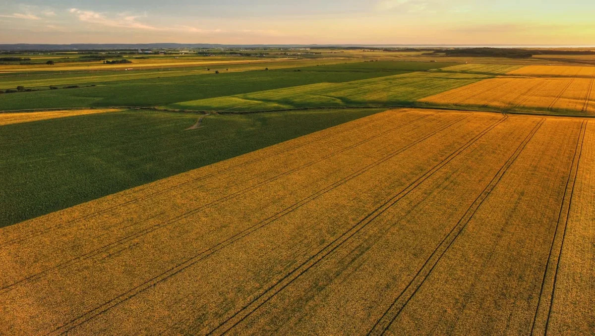 Scientists make breakthrough that could give major boost to food supply: ‘A huge positive’ Scientists make breakthrough that could give major boost to food supply: ‘A huge positive’