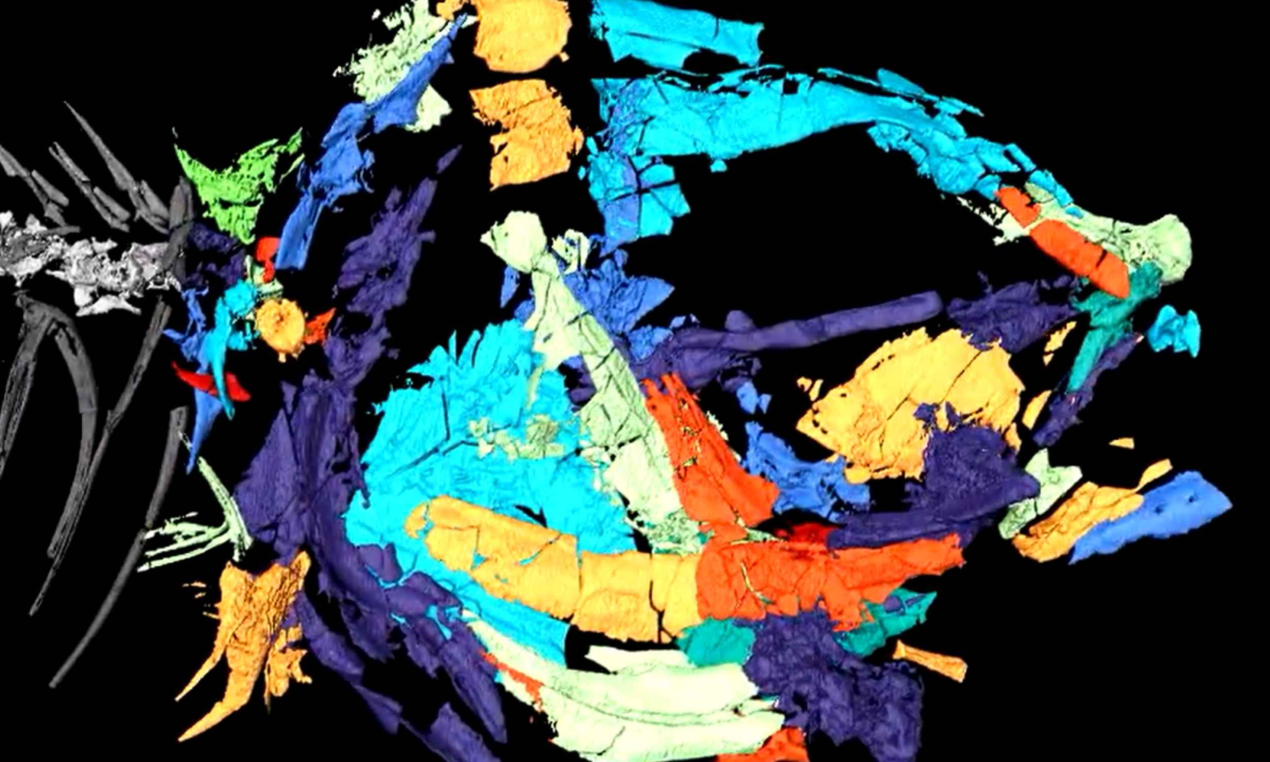 Largest group of freshwater fish originated in rivers, not the seas