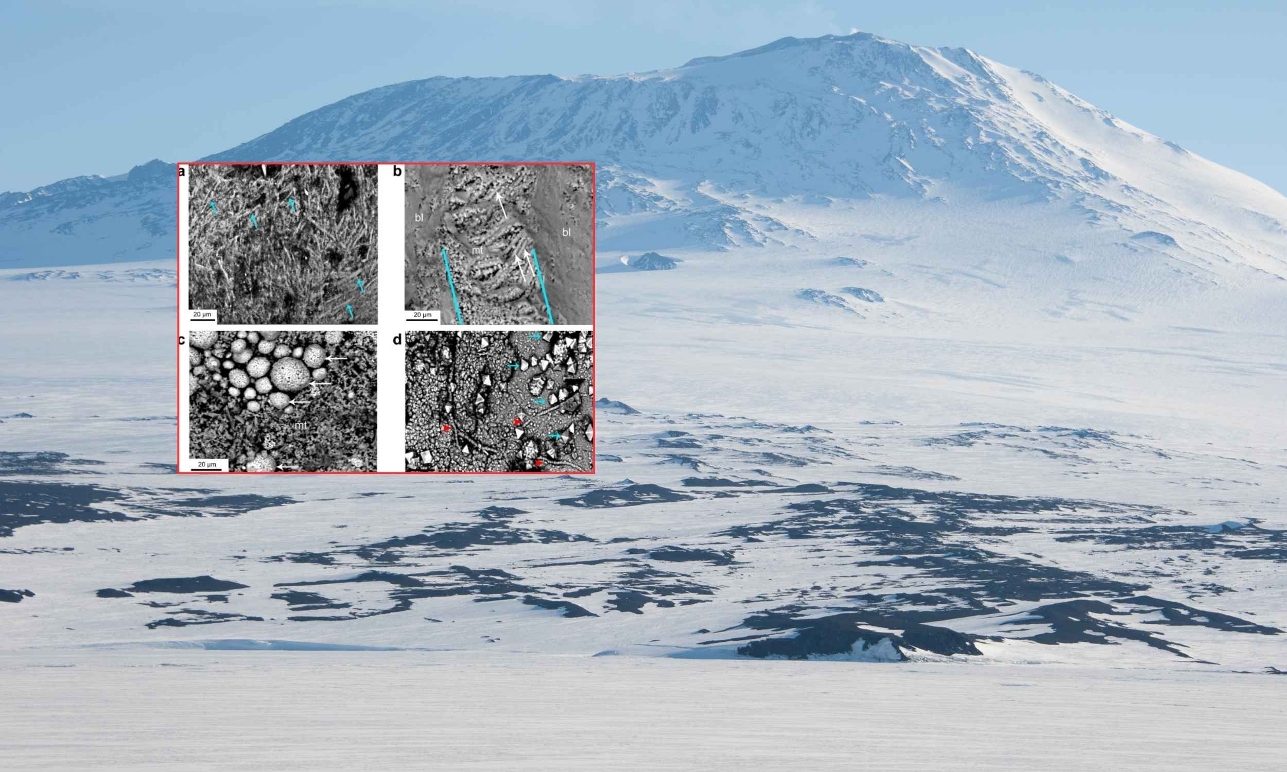 Enormous 68-million-year-old egg dubbed ‘The Thing’ unearthed in Antarctica Enormous 68-million-year-old egg dubbed ‘The Thing’ unearthed in Antarctica
