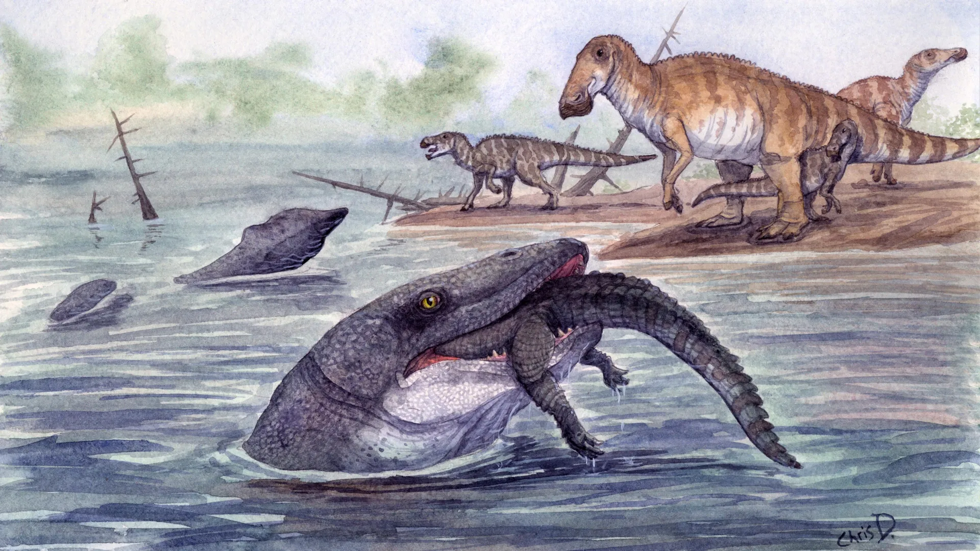 Giant sea monsters lived in rivers at the end of the dinosaur age Giant sea monsters lived in rivers at the end of the dinosaur age