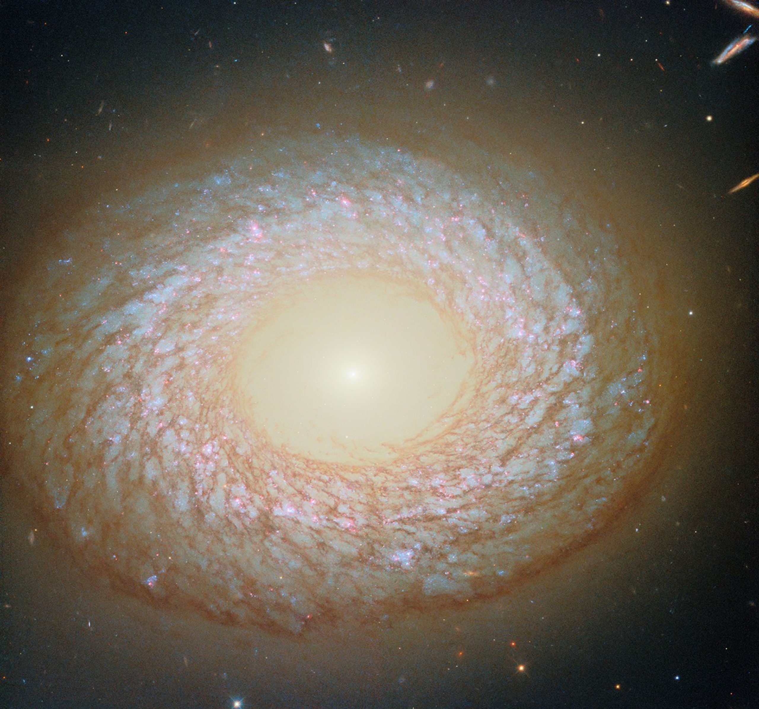 Hubble Captures a Curiously Fluffy Galaxy Called NGC 2775 Hubble Captures a Curiously Fluffy Galaxy Called NGC 2775