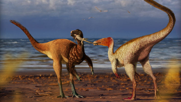 Two Species of Coelurosaurs Co-Existed in Cretaceous-Era Brazil Two Species of Coelurosaurs Co-Existed in Cretaceous-Era Brazil