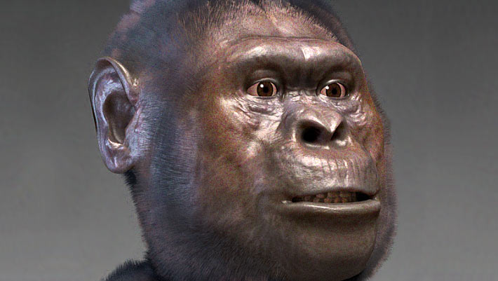 Remarkable Fossil from South Africa May Be New Species of Australopithecus: Study Remarkable Fossil from South Africa May Be New Species of Australopithecus: Study