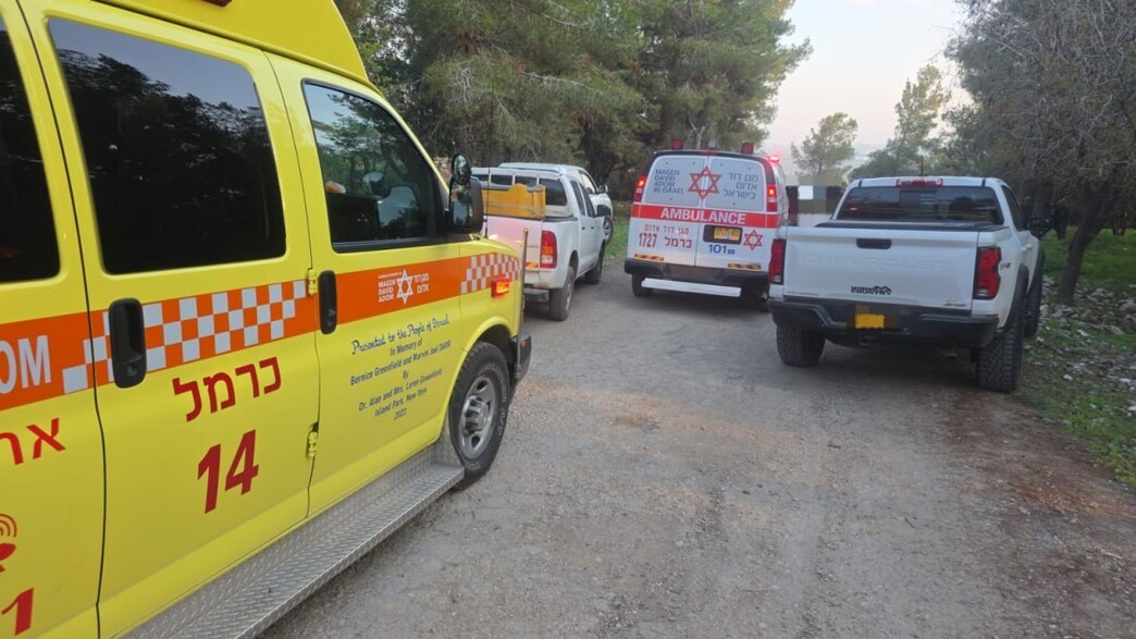 חשד לרצח כפול בצפון: 2 גברים כבני 30 אותרו ללא רוח חיים בשטח פתוח