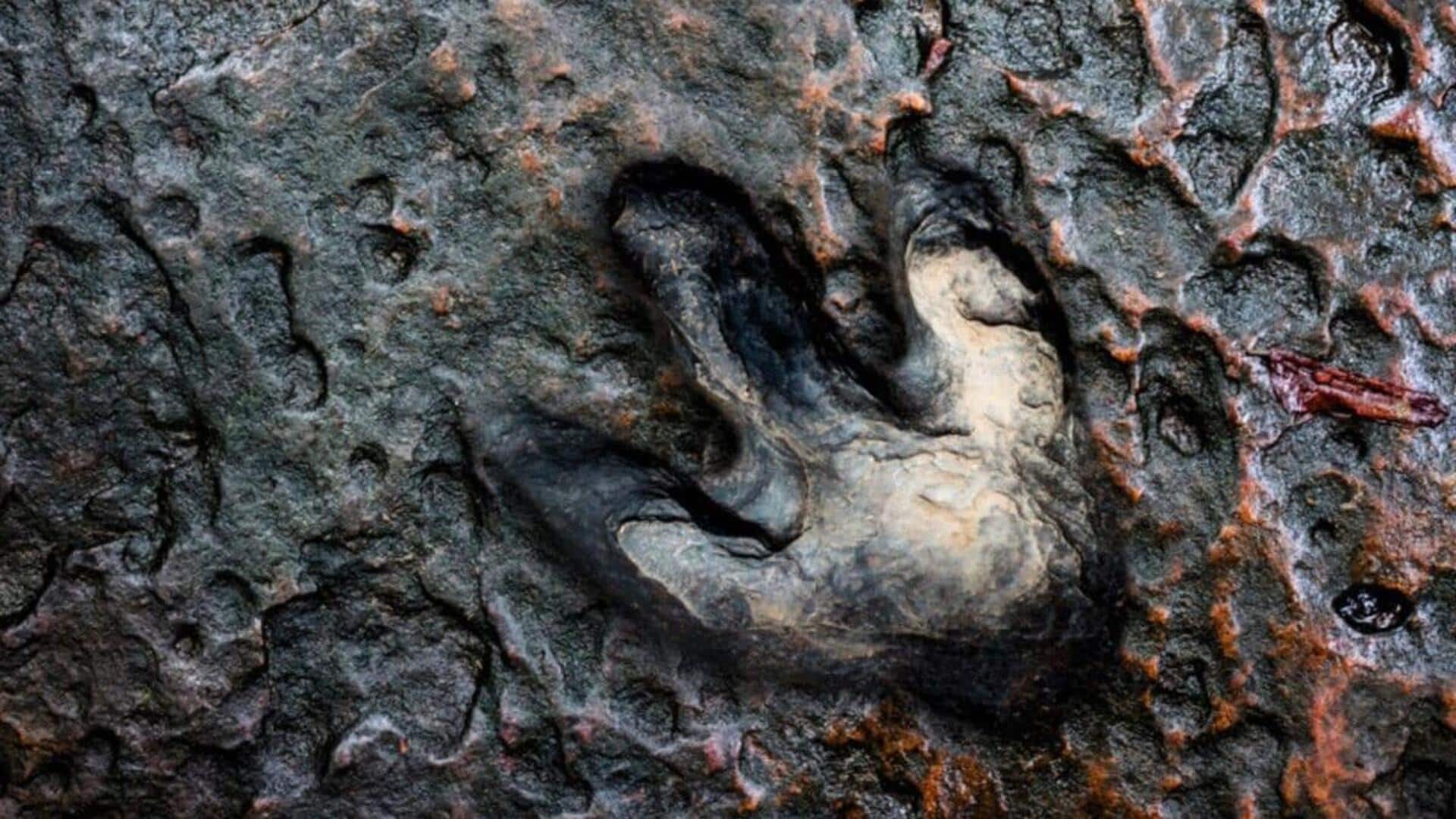 Scientists discover largest dinosaur gathering ever Scientists discover largest dinosaur gathering ever