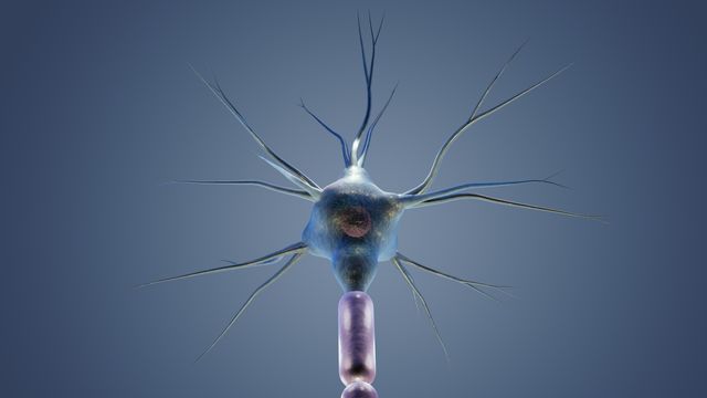 How Glowing Neurons are Transforming Brain Imaging How Glowing Neurons are Transforming Brain Imaging