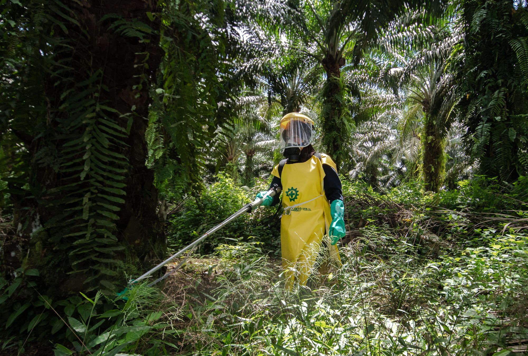 The annual JAGASAWITAN meeting – Consultative stakeholder meeting