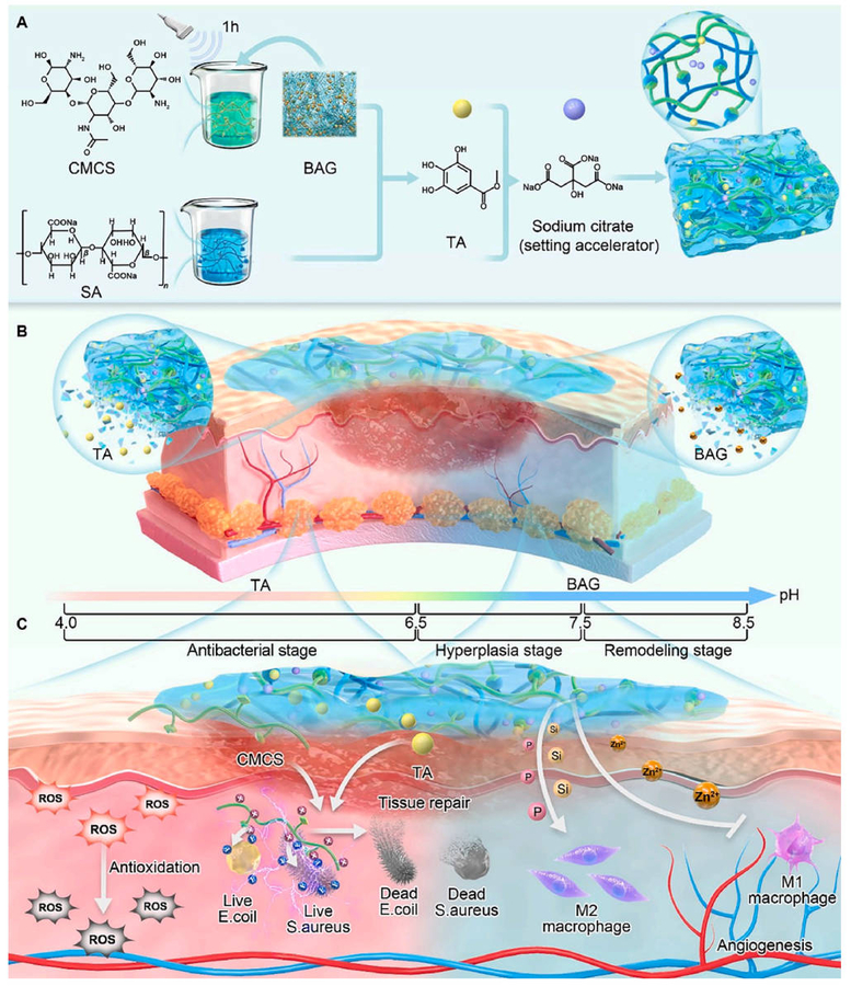 From Unit-Cell Optimization to System-Level Integration