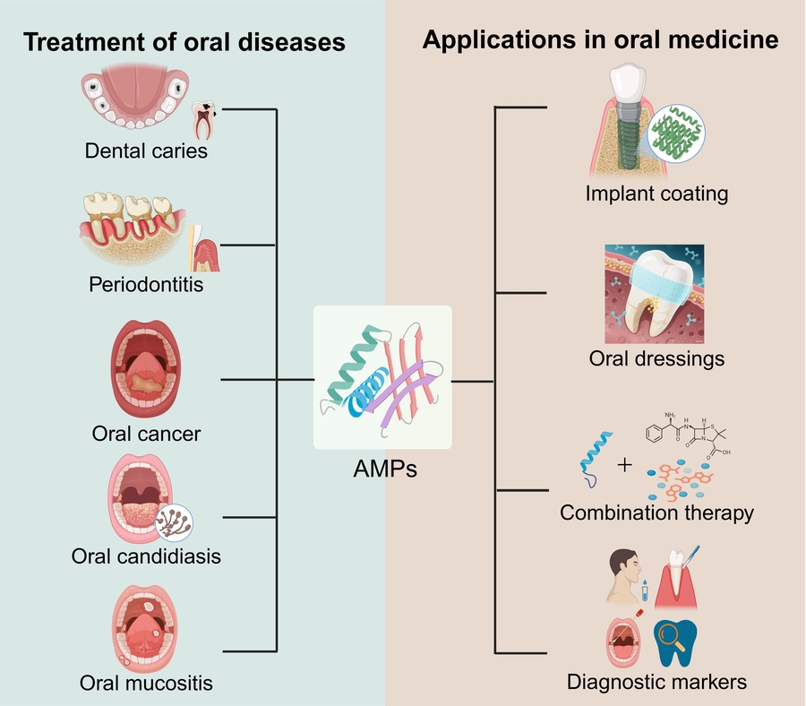 From mechanisms to clinical translation
