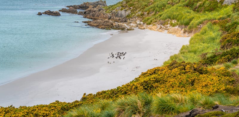 Israel’s Navitas to invest .17b in Falklands oil field