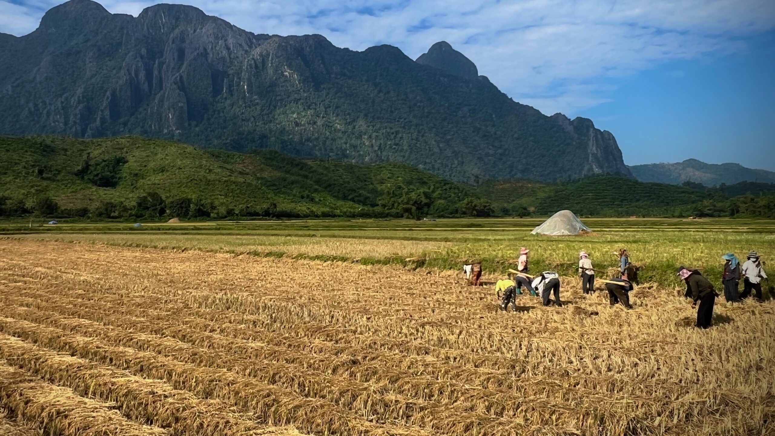 Mitigating Seasonal Impact of Agricultural Exports on Lao PDR Exchange Rate – ASEAN+3 Macroeconomic Research Office