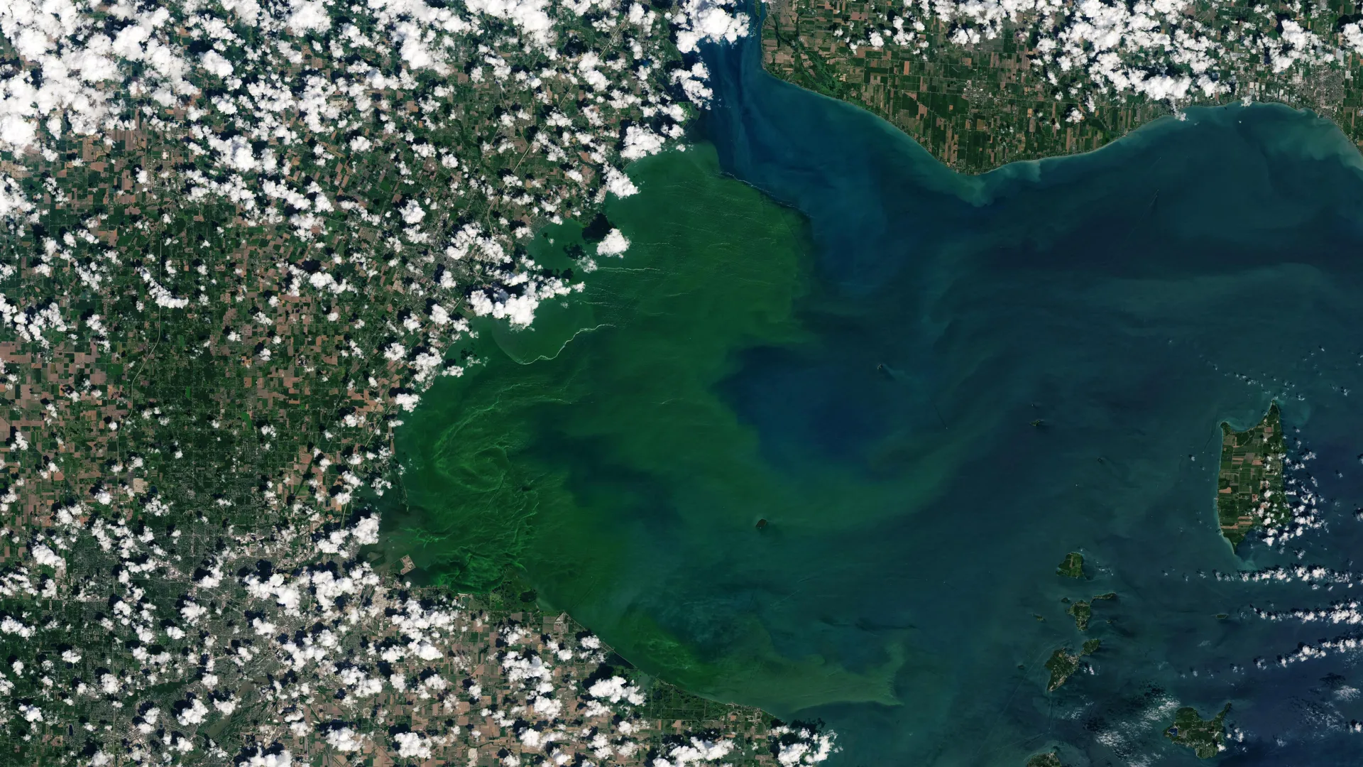 New research reveals the hidden organism behind Lake Erie’s toxic blooms