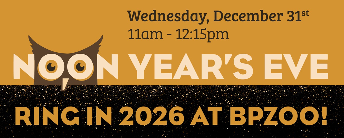 Noon Year’s Eve at BPZoo