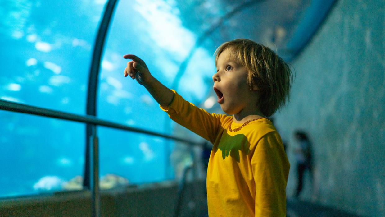 Why the First Day of Hanukkah Is a Miracle Why the First Day of Hanukkah Is a Miracle