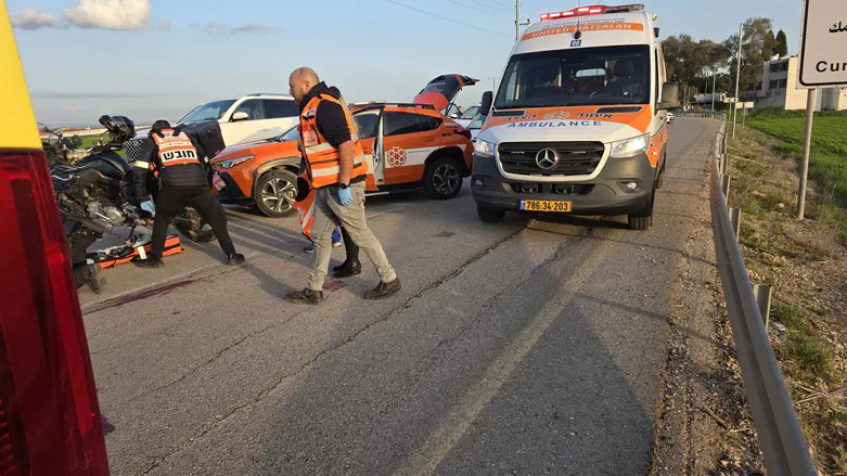 בדרך חזרה מהפגנה: נער נדרס למוות על ידי אוטובוס ליד קריית גת