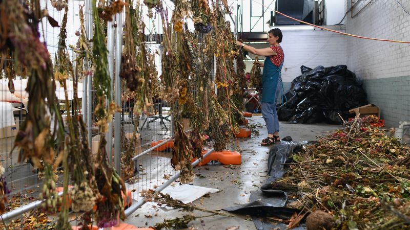 Australia Bondi Beach shooting: Three tons of mourners’ flowers to be transformed into art memorializing attack Australia Bondi Beach shooting: Three tons of mourners’ flowers to be transformed into art memorializing attack
