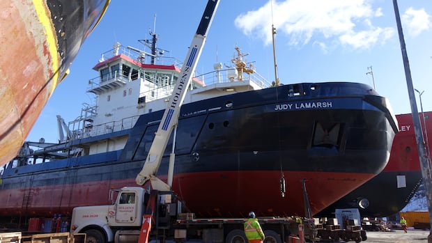 Newdock eyes 0M expansion in wake of geopolitical shakeup