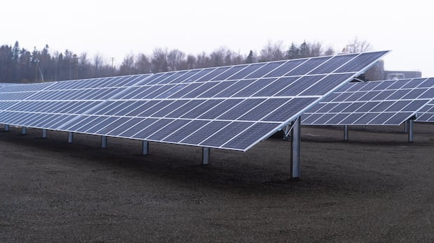 Ontario power company calls N.S. solar program a ‘win-win’ for customers, province