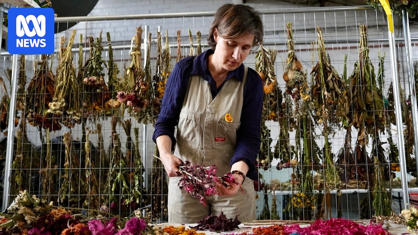 Floral tributes from Bondi Beach attack to be permanently memorialised by Sydney Jewish Museum Floral tributes from Bondi Beach attack to be permanently memorialised by Sydney Jewish Museum