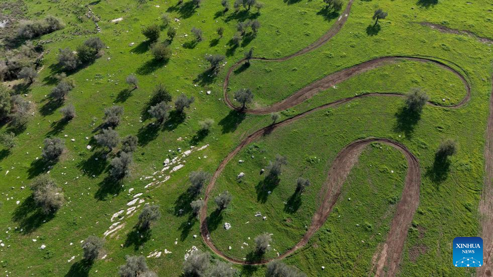 View of Ben Shemen Forest in central Israel-Xinhua