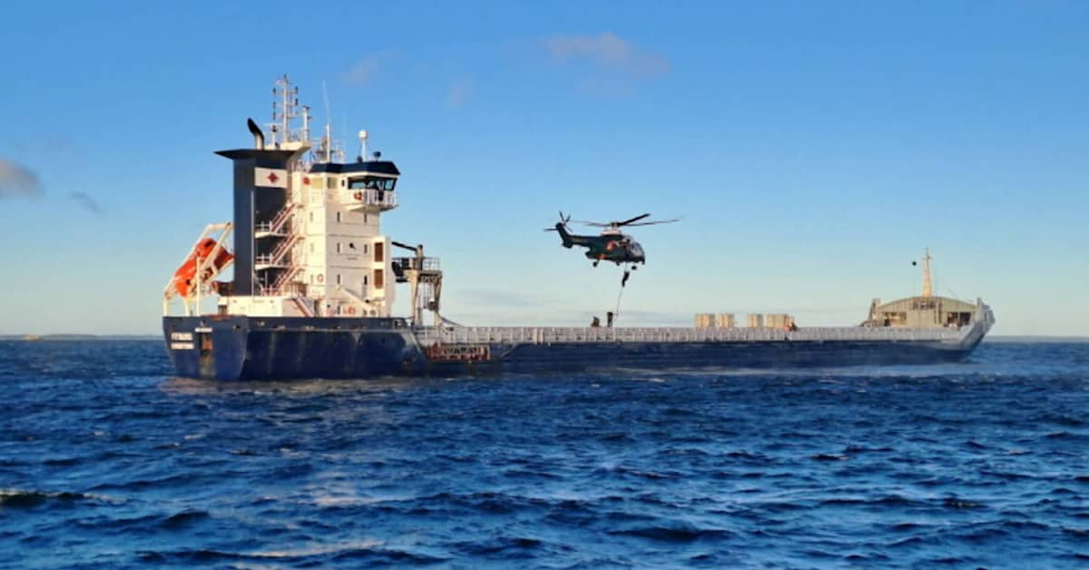 Finnish police question cargo ship crew over damaged telecoms cable | Yle News