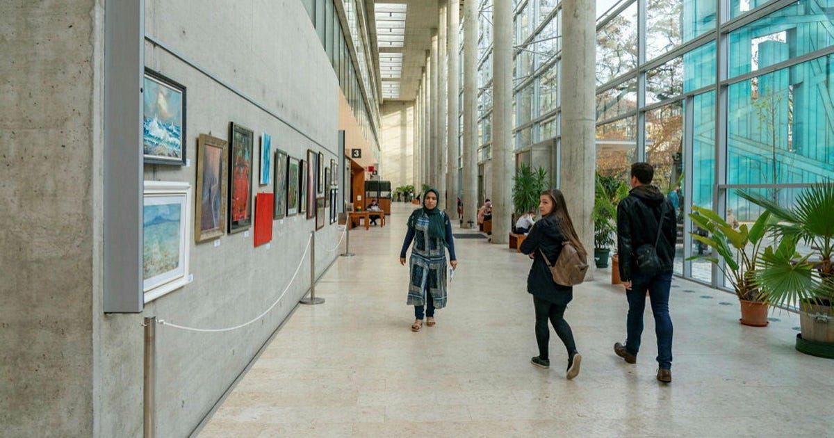 קיש הפתיע בישיבה – והמל”ג אישרה לאוניברסיטה הונגרית ללמד לימודים פרה-קליניים בתחום רפואה באילת – חינוך