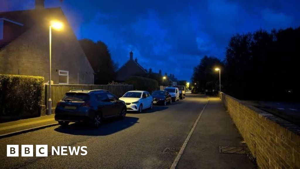 Dorset Council considers £2m plan to cut energy bills