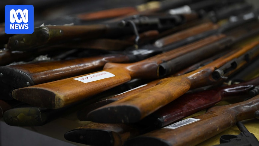 NT government rejects Albanese’s national gun buyback scheme over co-funding proposal NT government rejects Albanese’s national gun buyback scheme over co-funding proposal